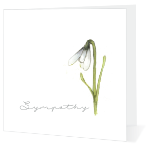 Box of Assorted Sympathy Cards