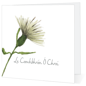 Pack Assorted Irish Sympathy Cards